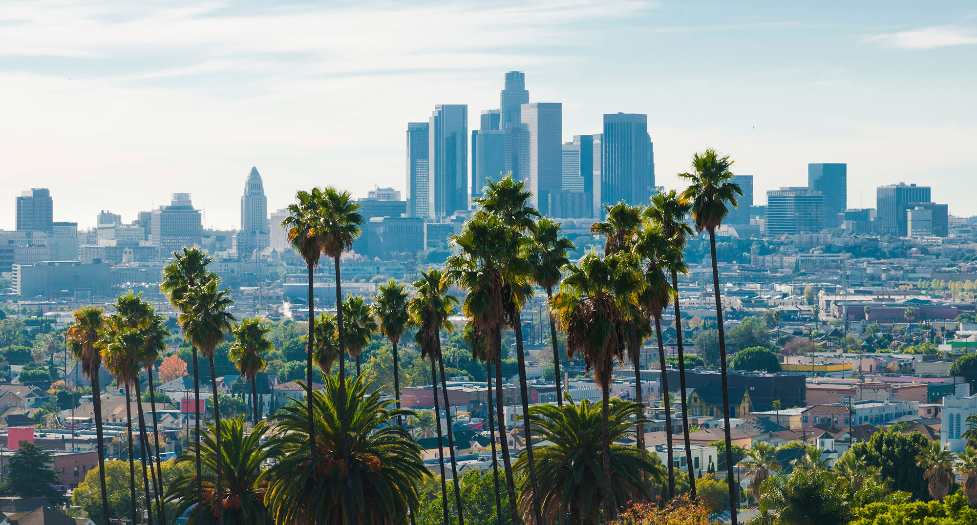 Los-Angeles-skyline-aerial-(backlit)-w-palm-trees-000035352024_Large ...